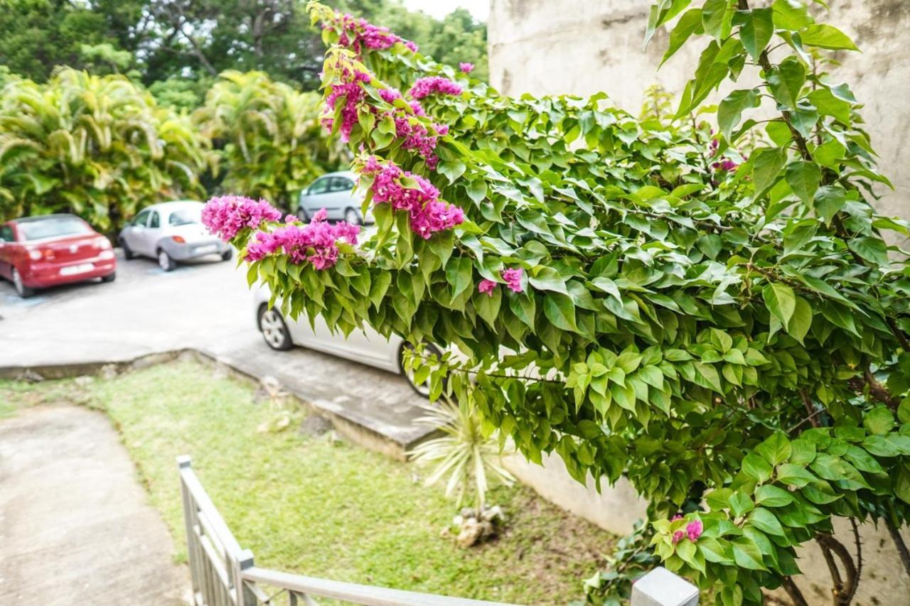 Color Garden - Studio Martinique Sainte-Anne Exteriér fotografie